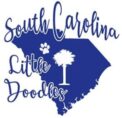 South Carolina Little Doodles