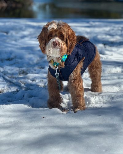 Cooper @ 2