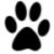 dog paw6 (1)